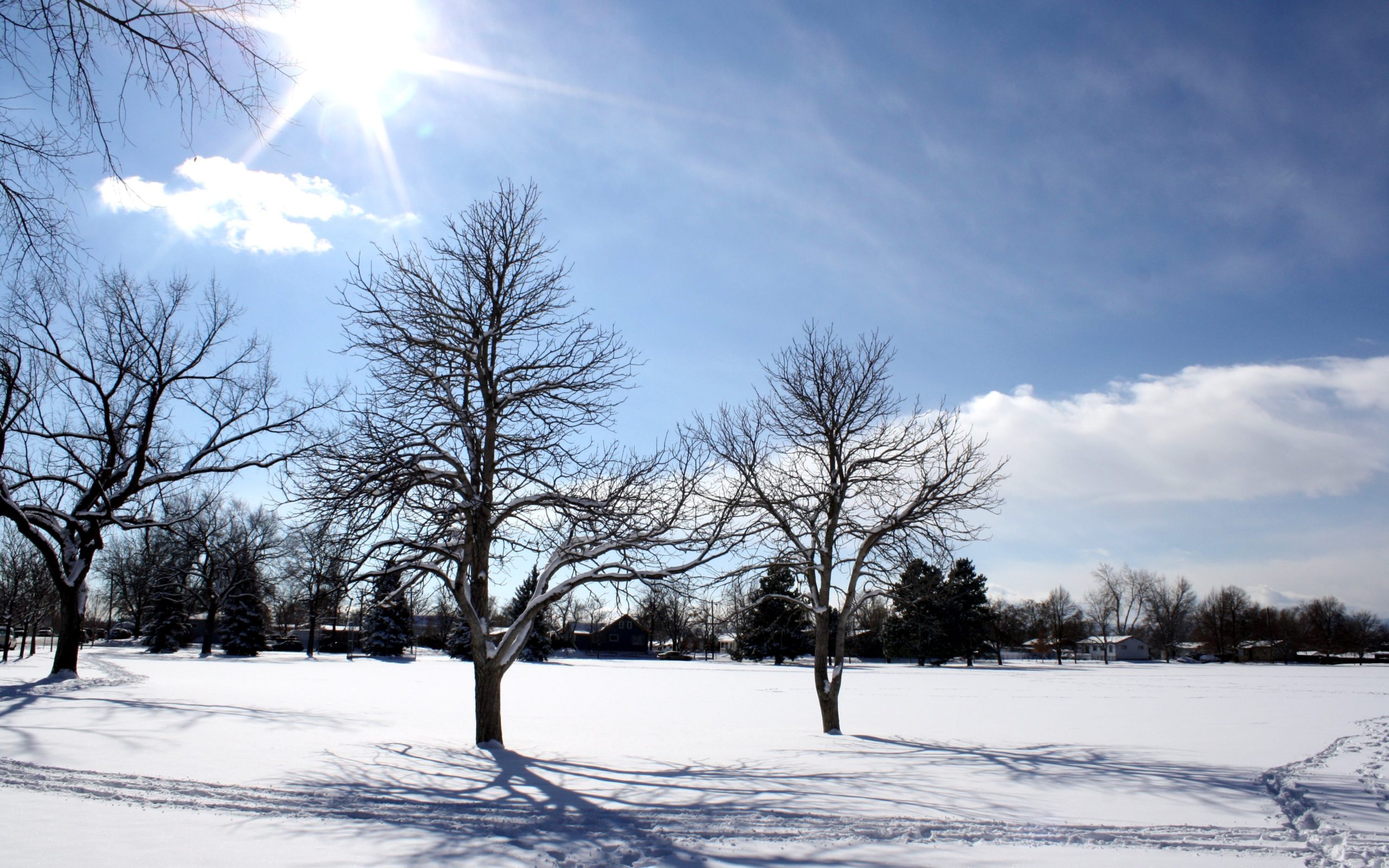 ناۋرىزدا اۋا رايى قانداي بولادى؟