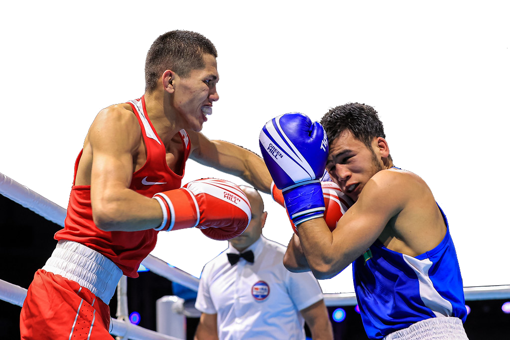 IBA اشىق ايقاسقا كىرىستى