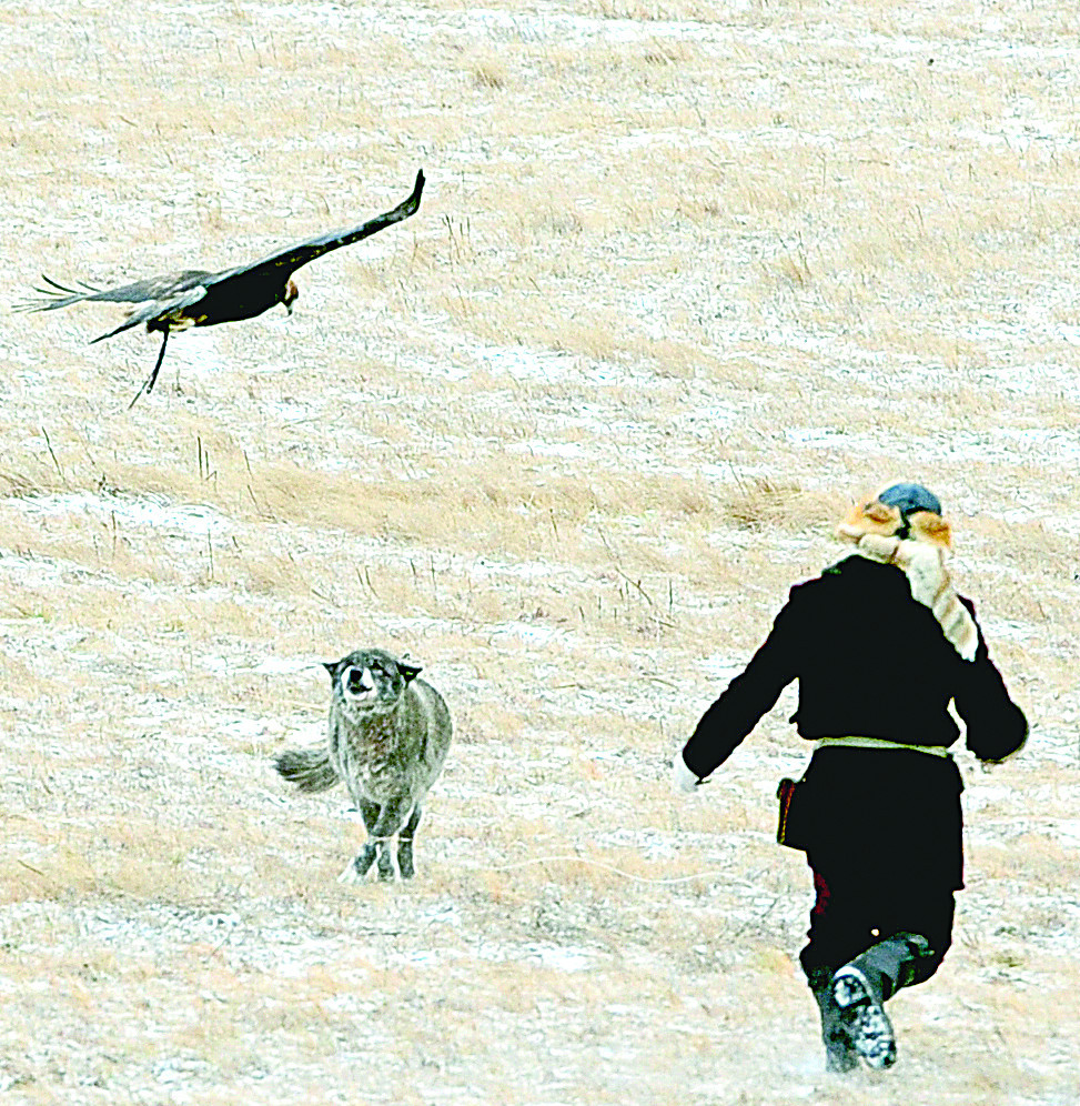 قىراعى قۇسبەگىلەر