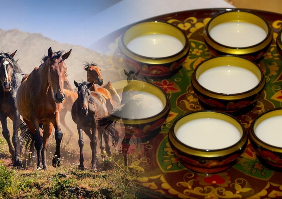 قىمىزدىڭ ادام دەنساۋلىعىنا قانداي پايداسى بار؟