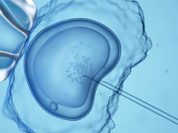 قىتاي ادام گەنىن وڭدەۋدە ەرەجەنى ساقتاماي وتىر - ساراپشىلار