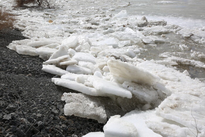 داريا دەڭگەيى: ۇرەيدەن گورى ءۇمىت باسىم