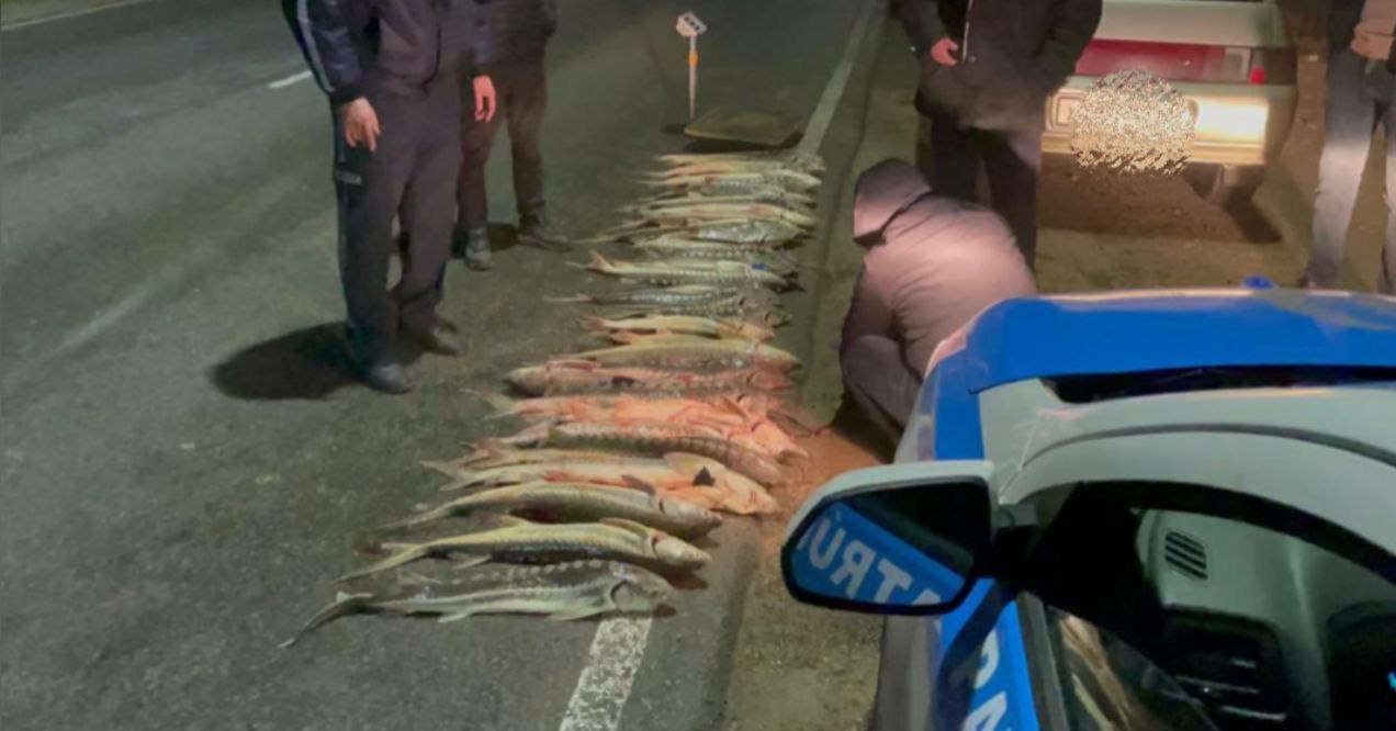 ماڭعىستاۋدا ءىرى كولەمدە بەكىرە اۋلاعان براكونەرلەر ۇستالدى