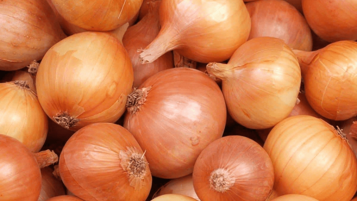 فەرمەرلەر: ەكسپورتقا شەكتەۋ جويىلسىن