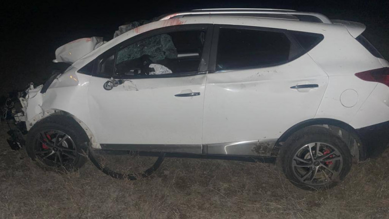 جەتىسۋ وبلىسىندا جول تالعامايتىن كولىك جىلقىلارعا سوعىلدى