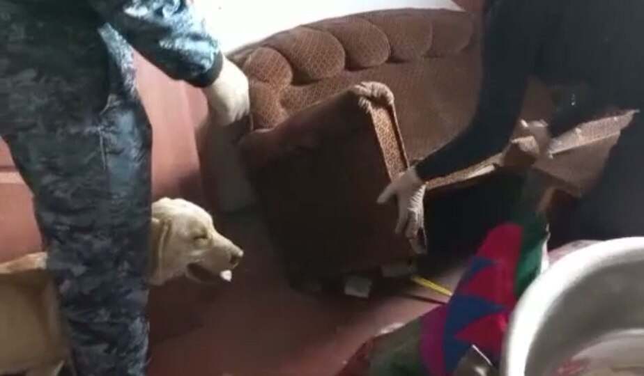 تۇركىستان وبلىسىندا اۋىل تۇرعىندارىنان ەسىرتكى تابىلدى