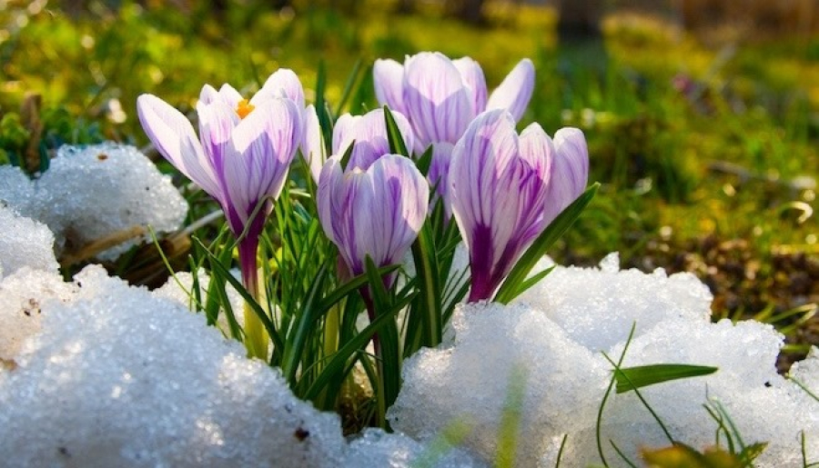 الداعى ءۇش كۇنگە ارنالعان اۋا رايى بولجامى