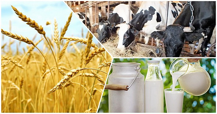 مال شارۋاشىلىعىن دامىتۋعا مۇمكىندىك مول