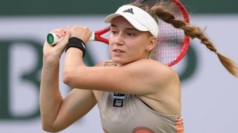 شيرەك فينالعا شىقتى