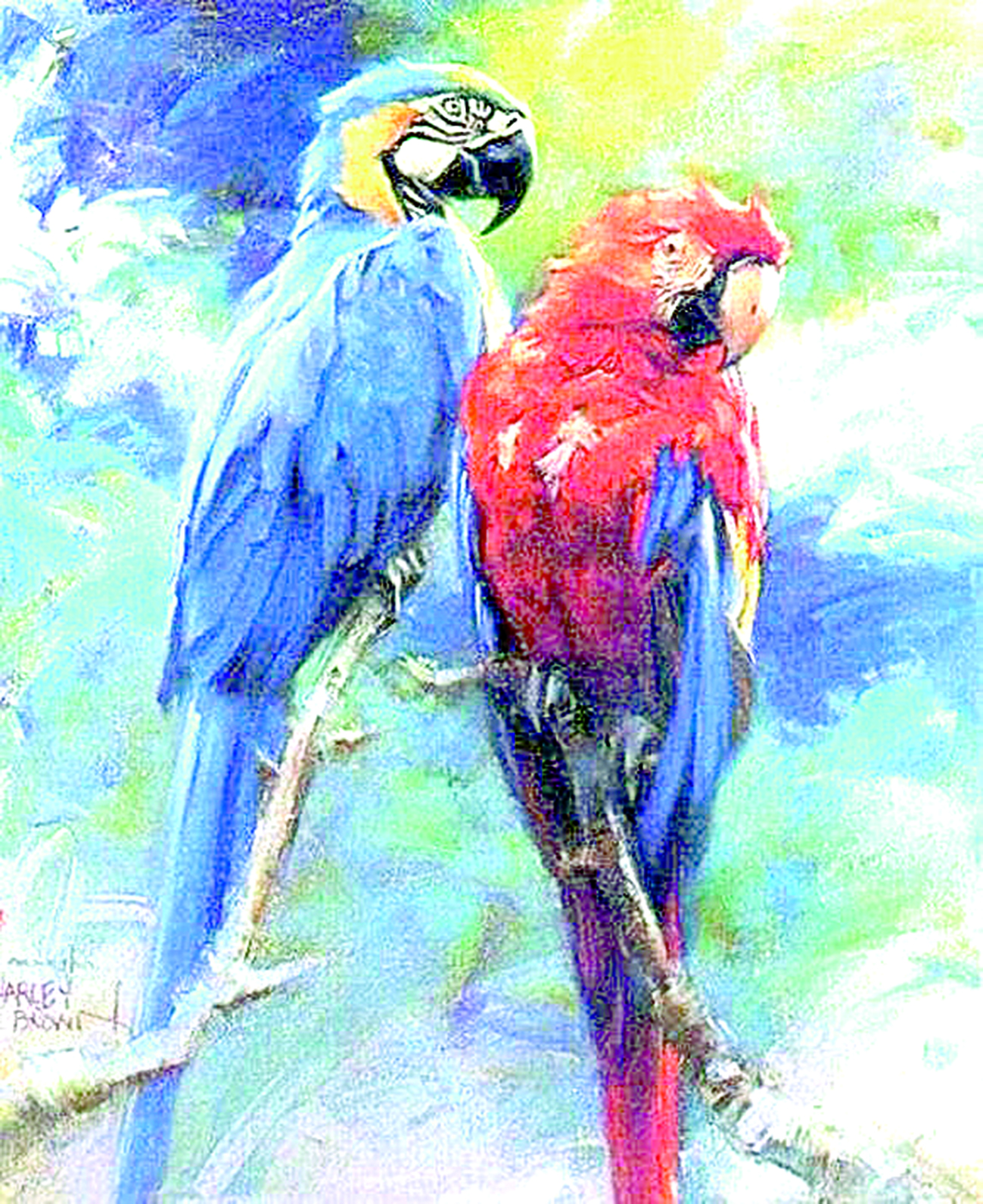 قۇس قايتقاندا