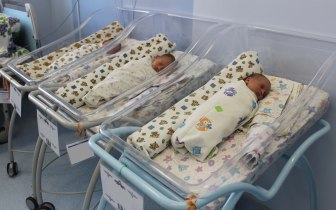 تۇركىستاندا ۇشەم دۇنيەگە كەلدى