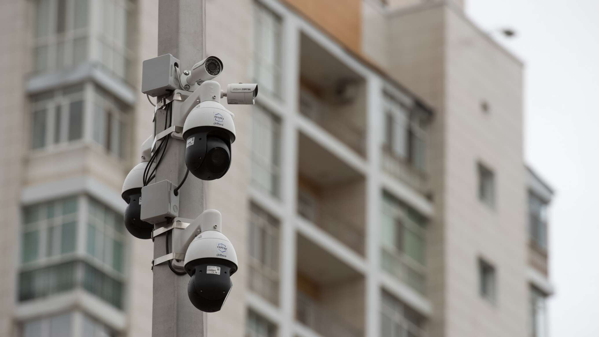 اقىلى جولدارداعى كامەرالار كولىك جىلدامدىعىن تىركەي باستايدى