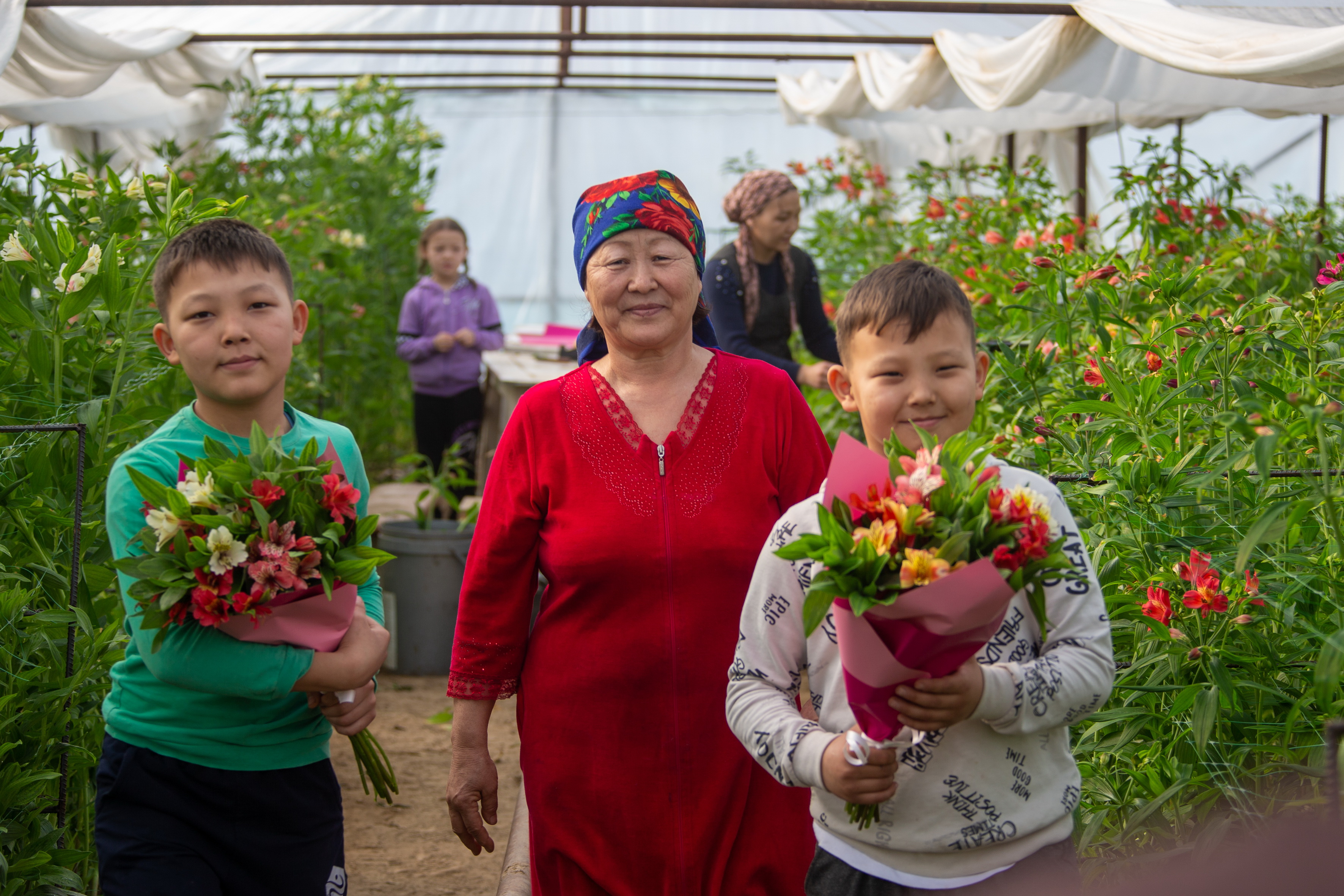 پەرۋ گ ۇلىن وسىرگەن انا