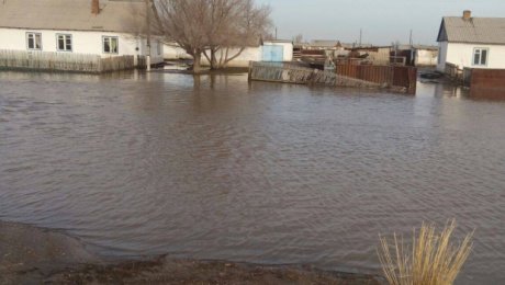 تاسقىن سۋ قۇرساۋىنداعى اۋىل