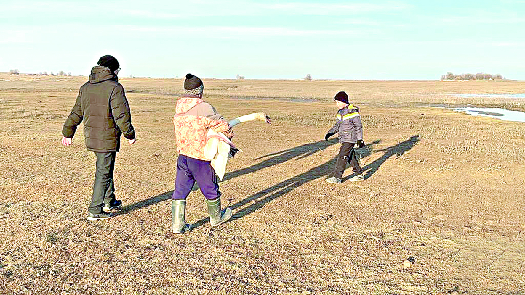 ايدىنعا اققۋ ورالدى