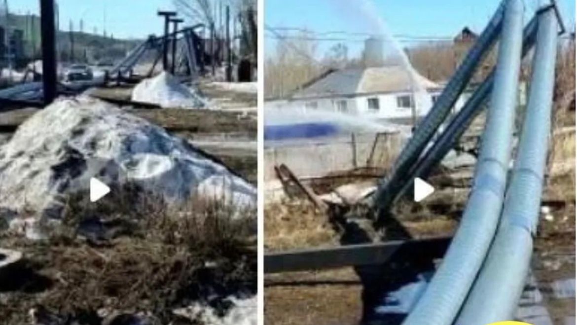 زەرەندى جىلۋسىز قالدى