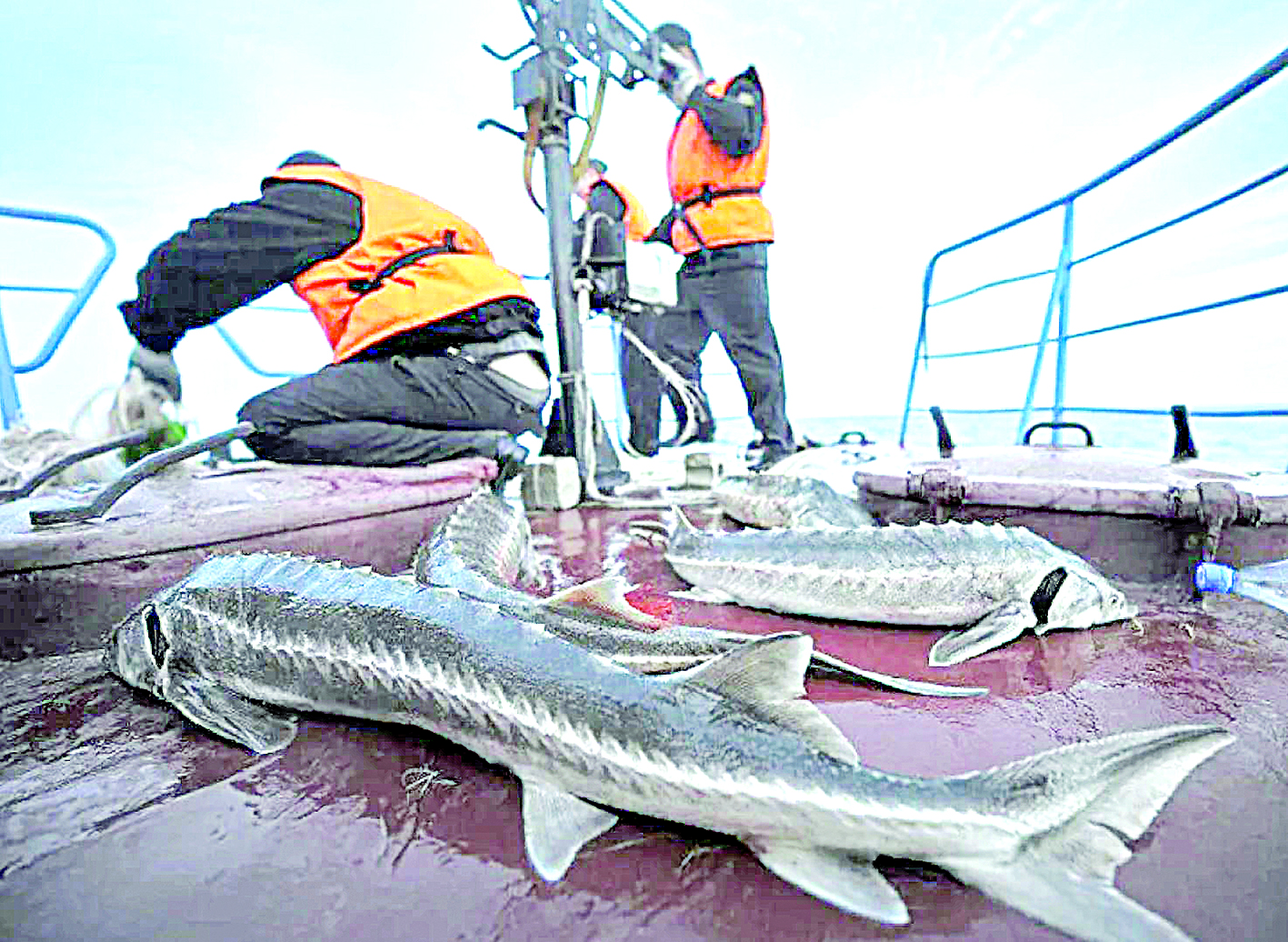 براكونەرگە توسقاۋىل بولماي تۇر