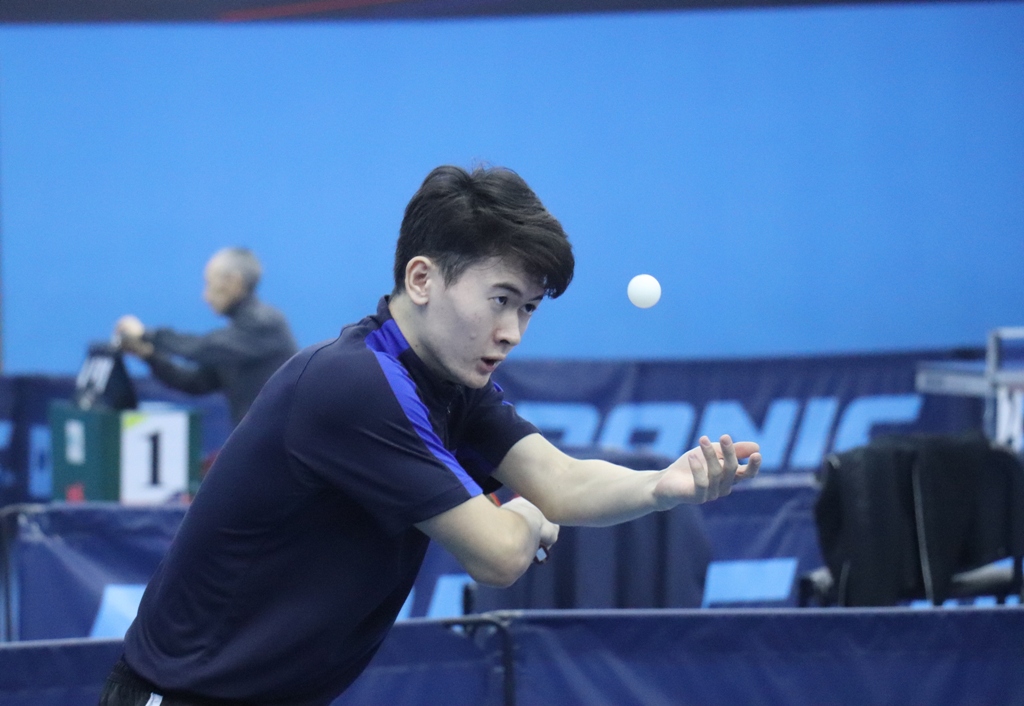 الەم چەمپيوناتىنا قاتىسادى