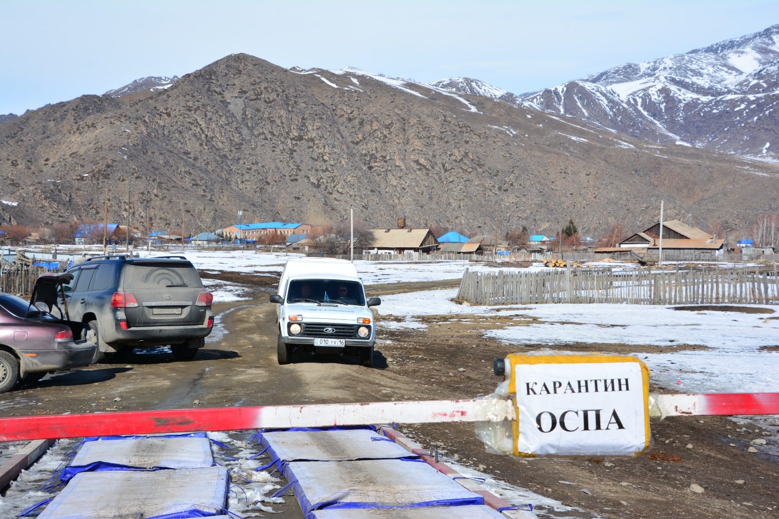 شىعىستان شەشەك شىقتى