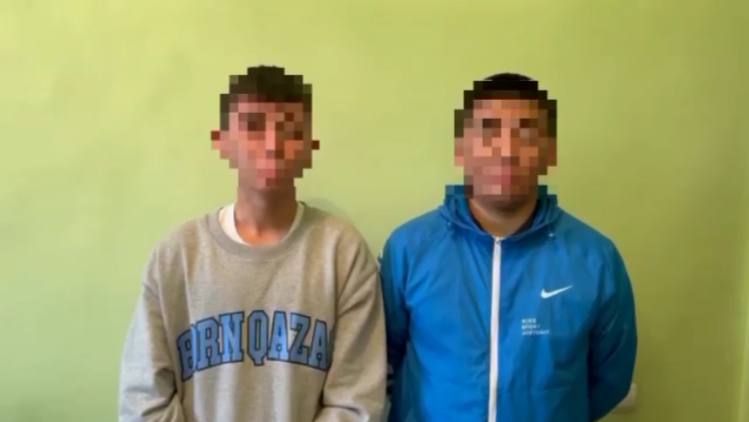 تيك توكتا تانىمال بولۋ ءۇشىن كوپىردەن سەكىرگەن