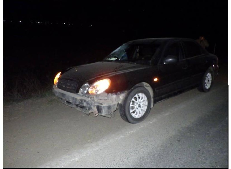 بقو-دا ماس جۇرگىزۋشى جاياۋ جۇرگىنشىنى قاعىپ كەتتى