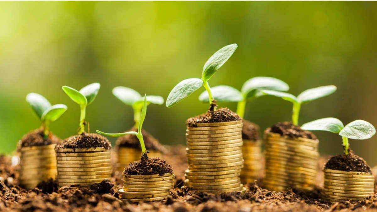 زەكەتتى رامازان ايىندا بەرۋ كەرەك پە؟