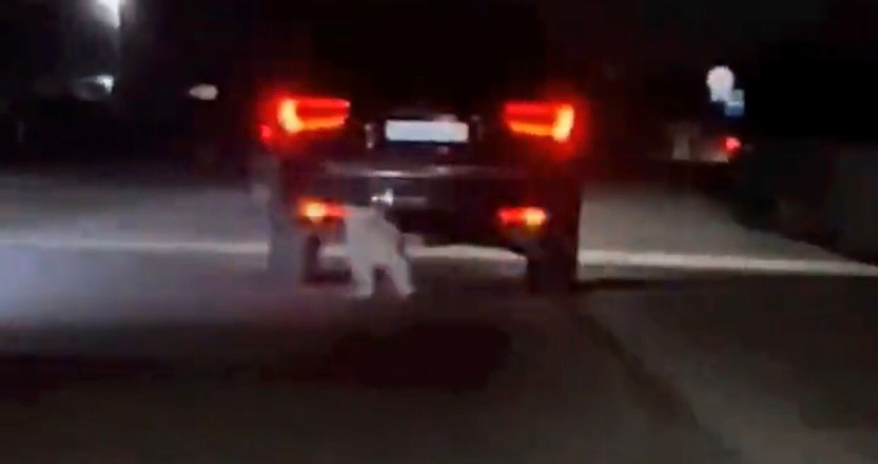 الماتى وبلىسىندا ءيتتى كولىگىنە بايلاپ, سۇيرەگەندەر انىقتالدى