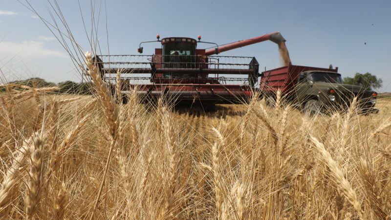 ەلىمىزگە اۆتوكولىكپەن بيداي اكەلۋگە تىيىم سالىنادى