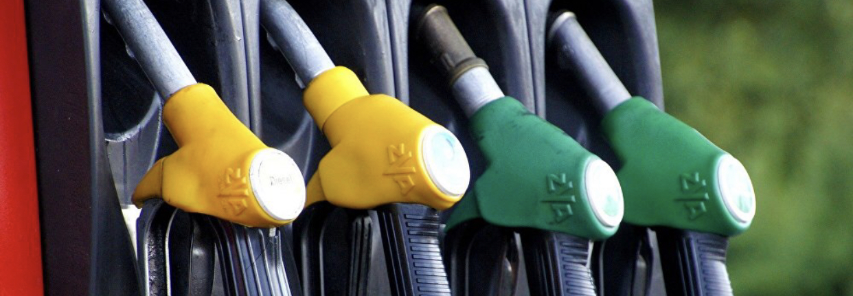 جانار-جاعارمايدىڭ سارالانعان باعاسى بەلگىلەندى