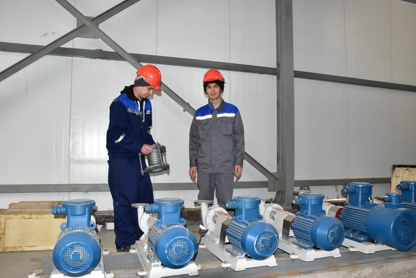 ينفراقۇرىلىم قۋاتى – ينۆەستيتسيادا