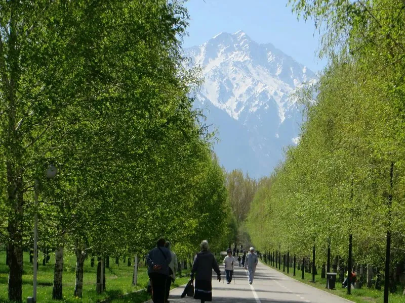 الماتىنىڭ جاسىل جەلەگى بيولوگيالىق تۇردە وڭدەلەدى