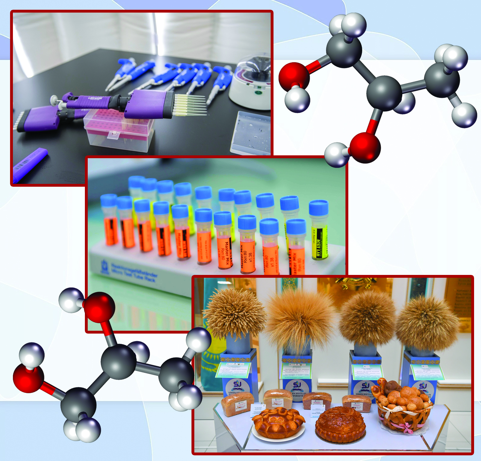 جۇيەلى ءىس جۇيەسىن تابادى