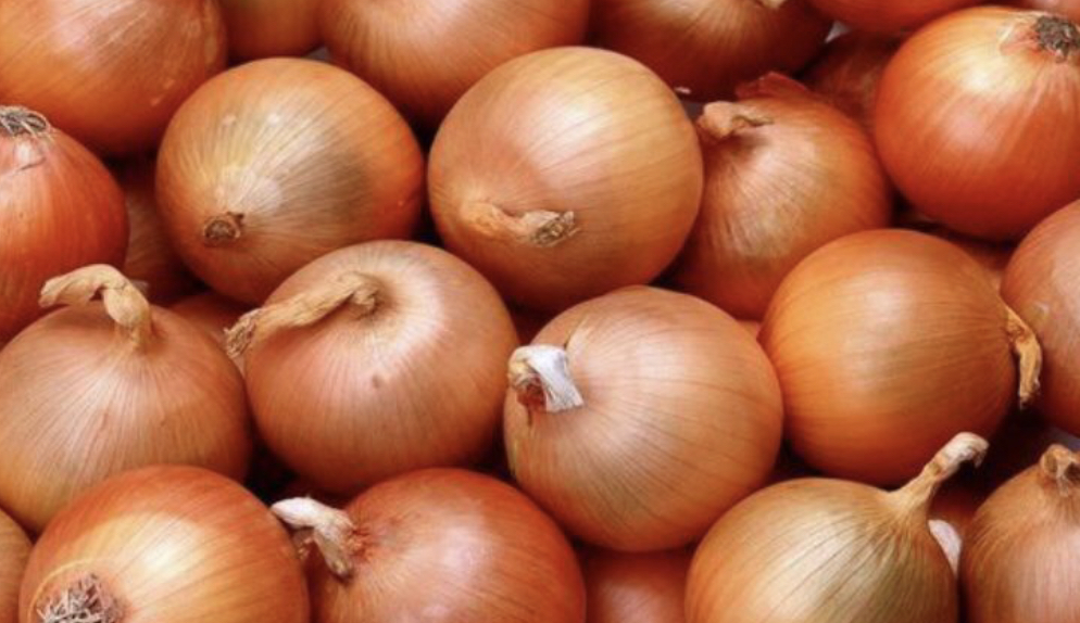 پيازدى ەكسپورتتاۋعا 30 كاسىپكەر رۇقسات الدى