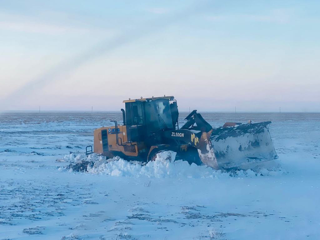 قار قۇرساۋىنان قۇتقارىلدى