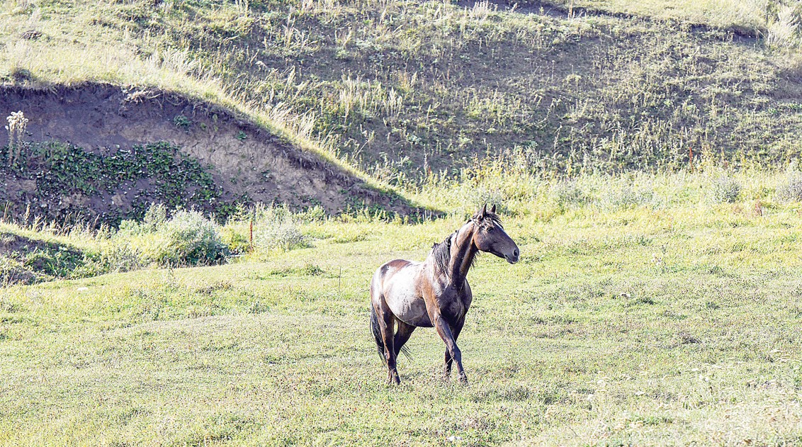 قۇلاگەر شىڭى