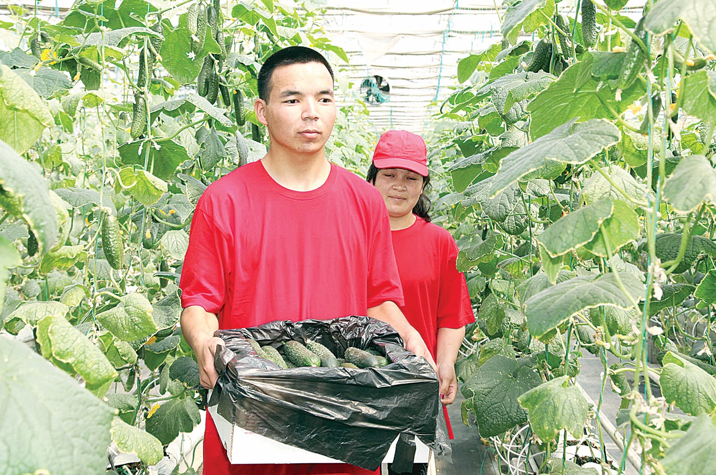 كەدەرگىگە كەزىككەن كاسىپكەرلىك