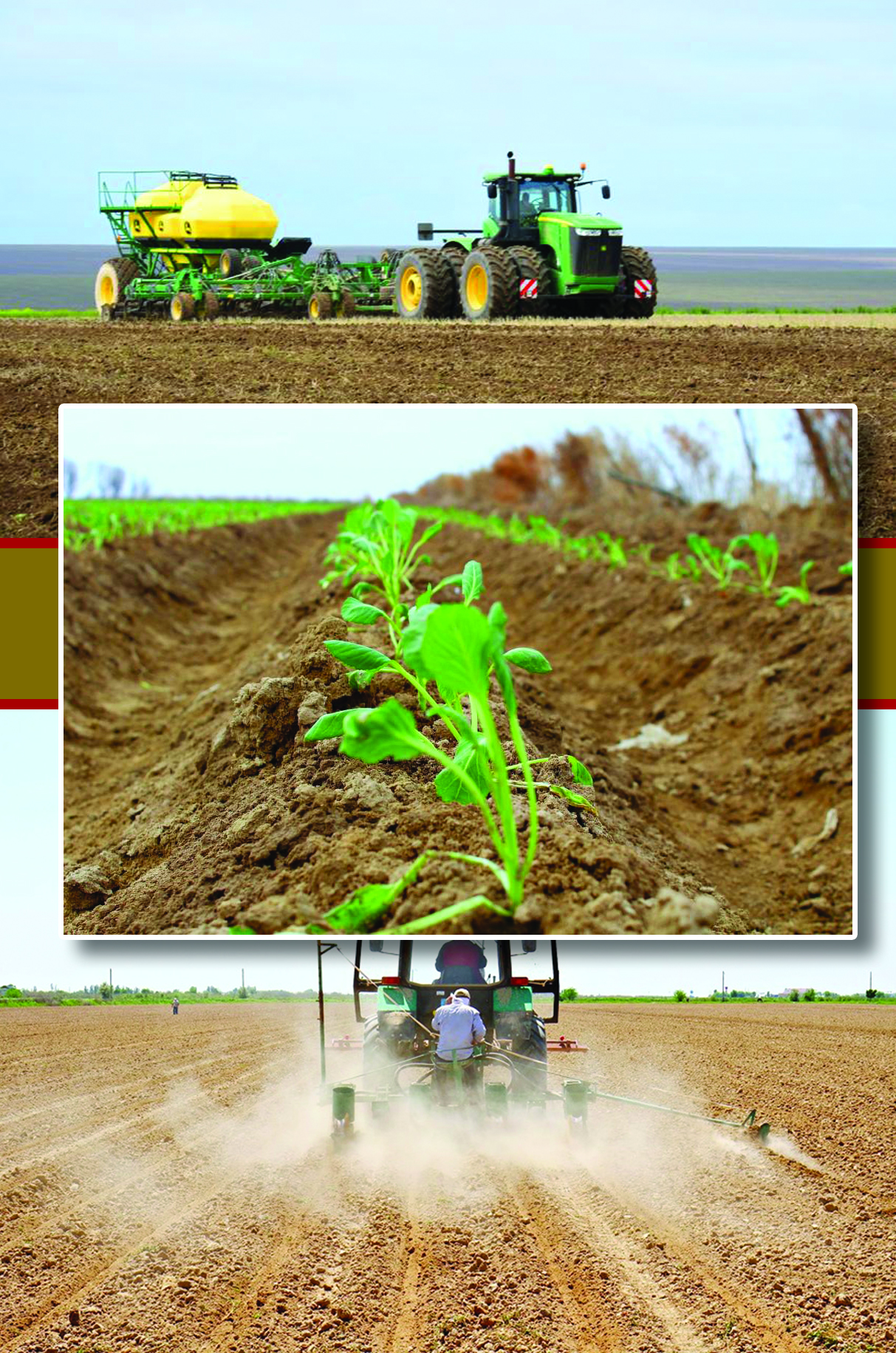 ىلعال جاپقاننىڭ ىرىزدىعى مول