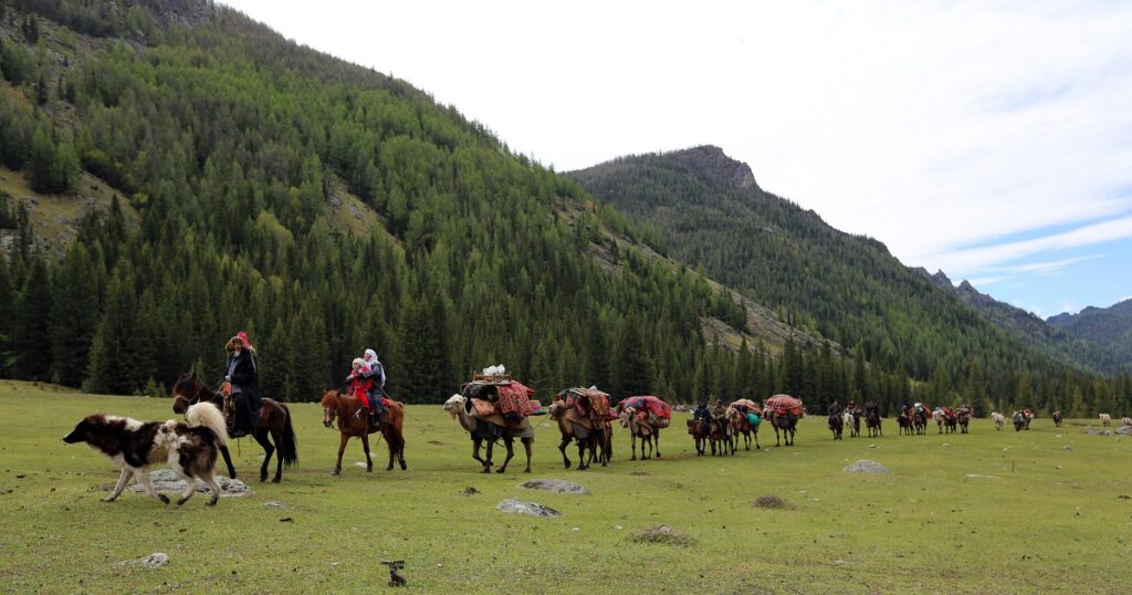 اۋىلىم كوشىپ بارادى...