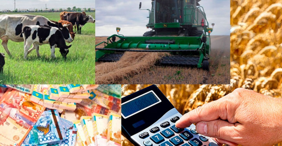 سۋبسيديا ماسەلەسى شەشىلە مە؟