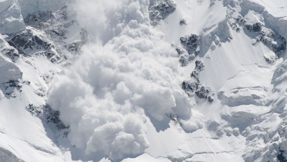 الماتى تاۋلارىندا قار كوشكىنى ءجۇرۋ قاۋپى بار