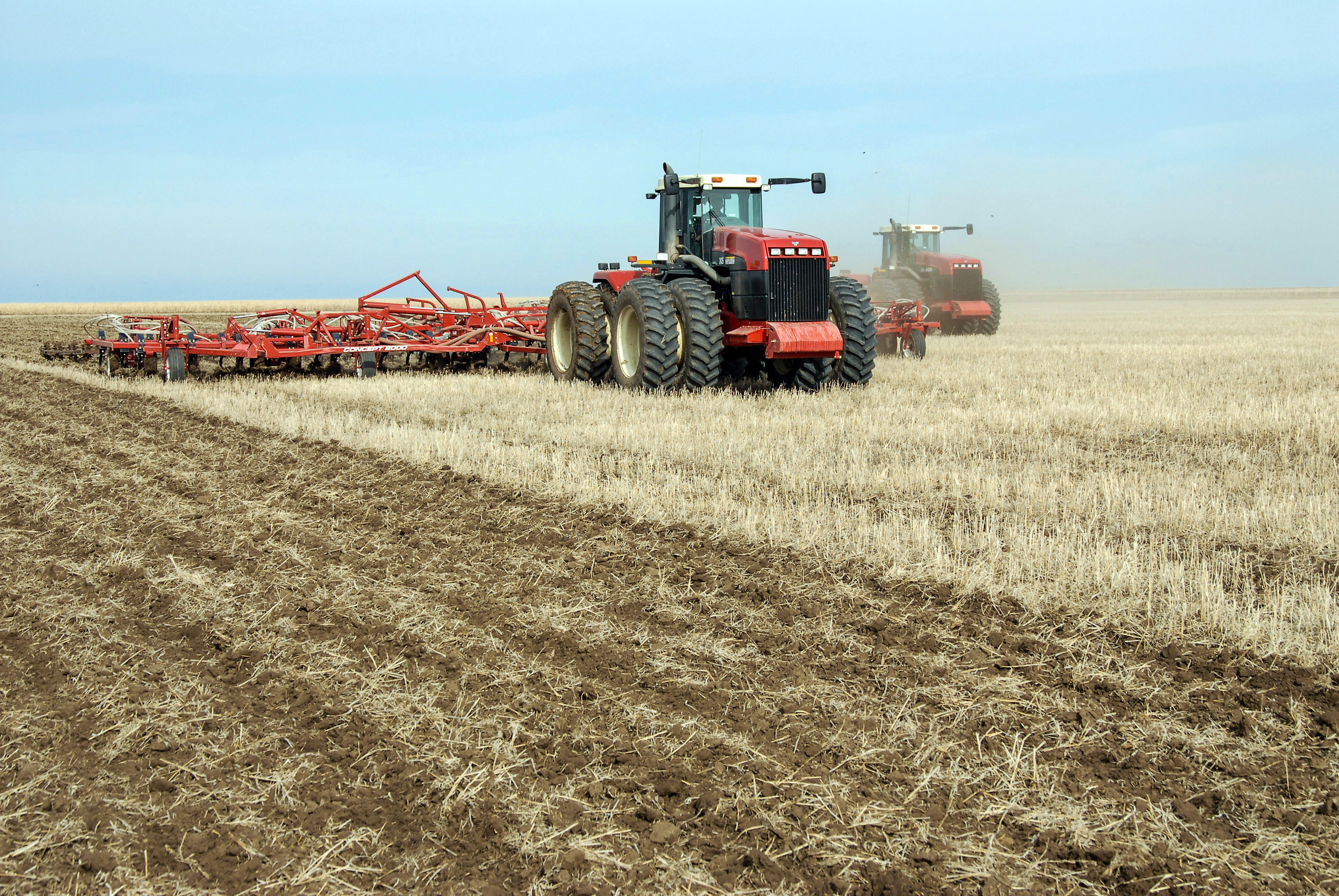 شارۋانى نە الاڭداتادى؟