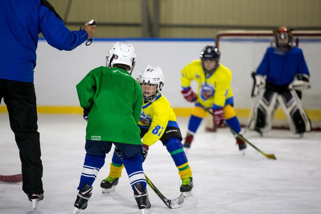 الماتىدا بالالاردى تەگىن سەكتسيالارعا قابىلداۋ قاشان باستالادى؟