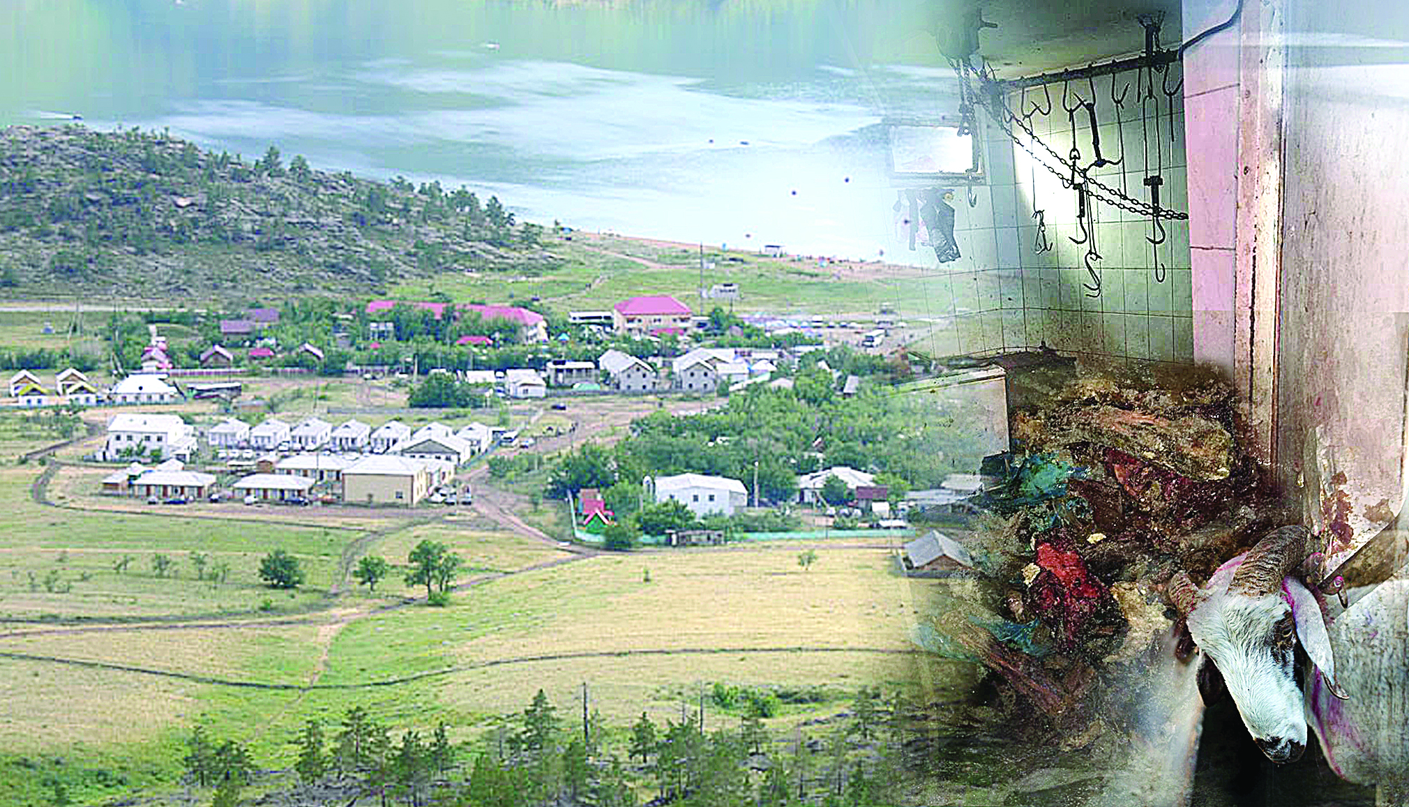 سارساڭعا سالعان قاساپحانا