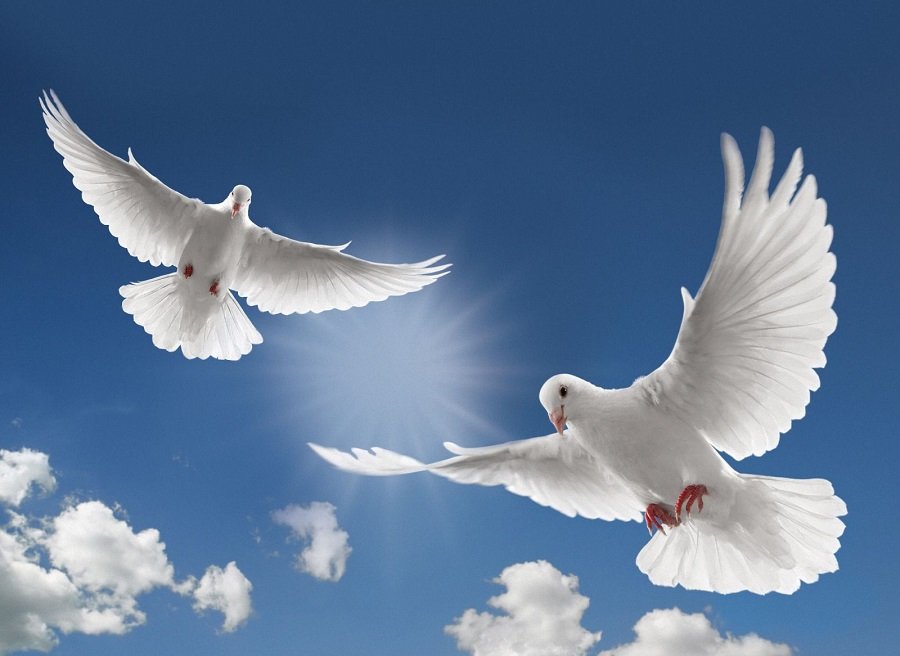 بەيبىتشىلىكتىڭ بەرىك قامالى