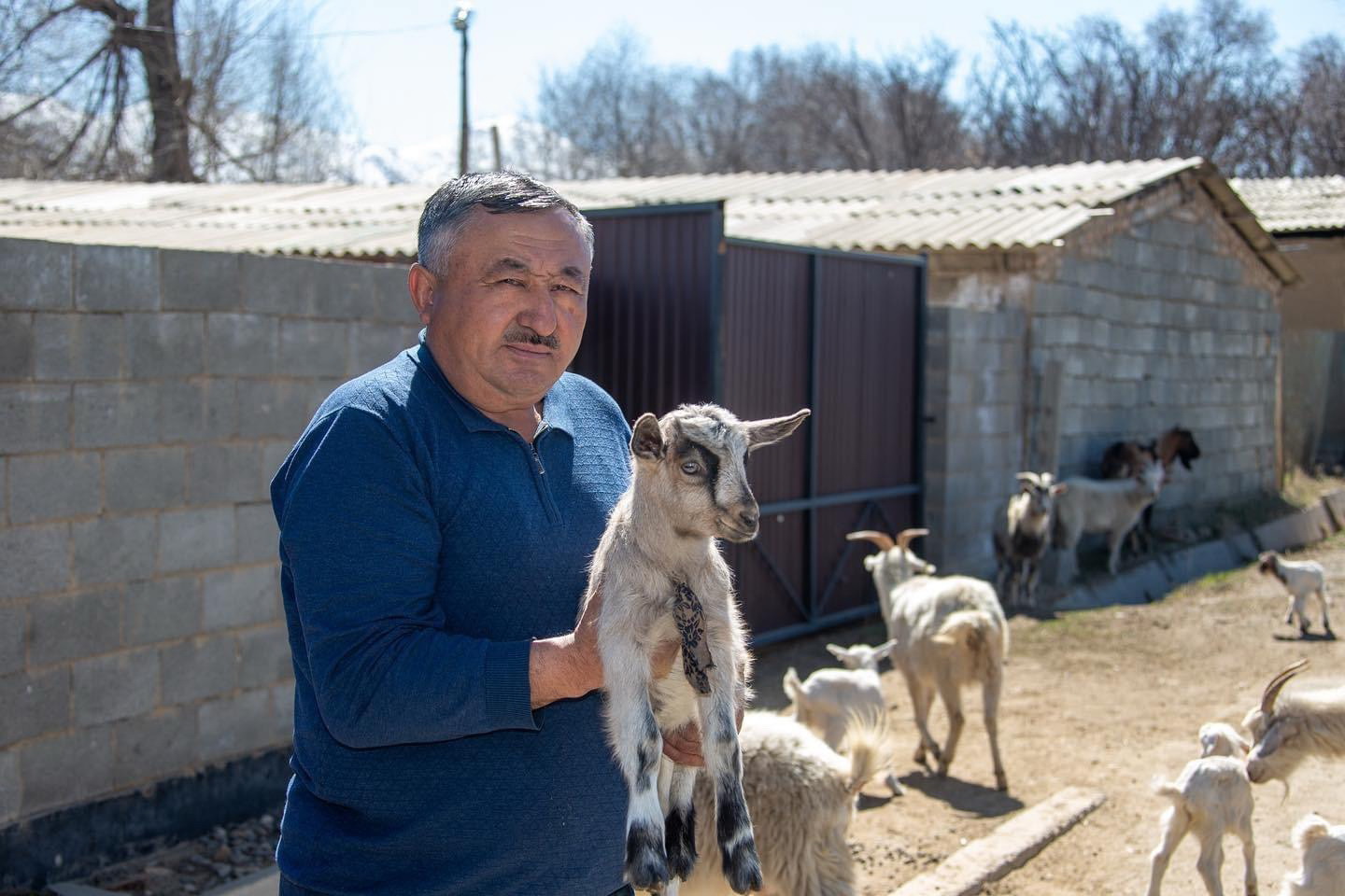 قوي قوزداپ, قورادا شۋ