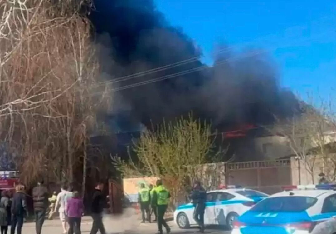 استانادا بالاباقشا ورتەندى