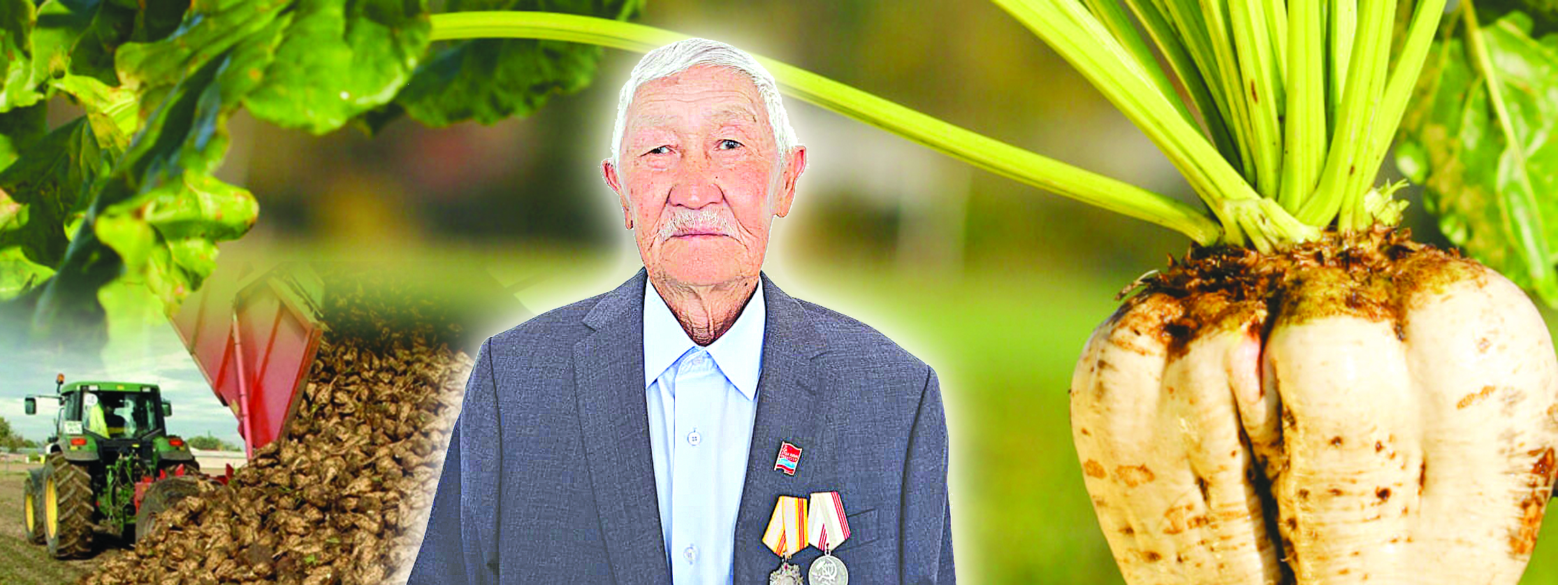 قىزىلشا ەگۋدىڭ مايتالمانى