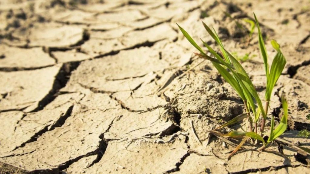 مامىر ايىندا كەيبىر وڭىرلەردە قۇرعاقشىلىق بولۋى مۇمكىن