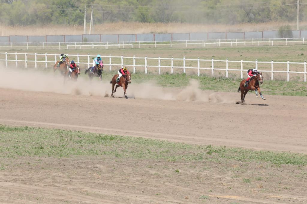 جۇيرىكتەر جۇيتكىگەن كۇن