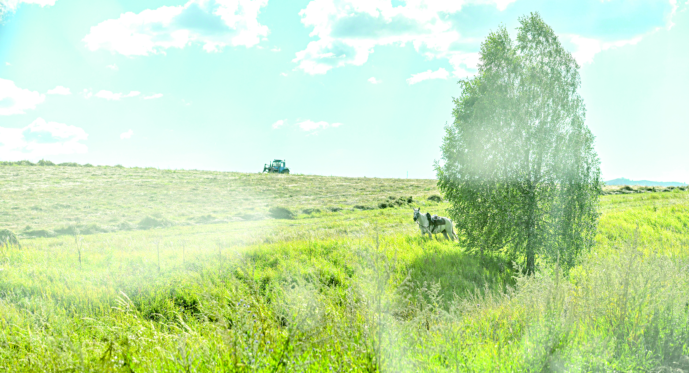 لاتيفۋنديستەر زاڭعا باعىنباي ما؟